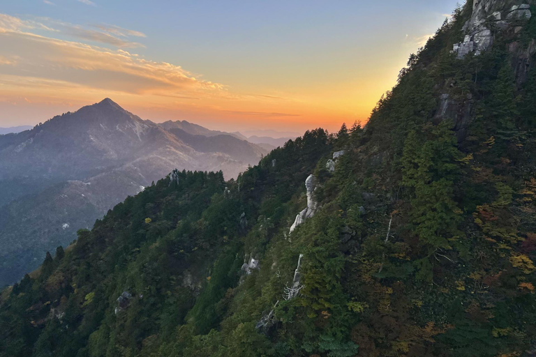 Desde Nagoya: Cataratas de Yoro y teleférico panorámico del monte Gozaisho