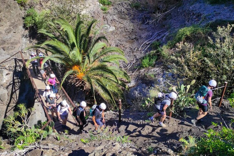 Sentier des gorges de Masca : Randonnée guidée