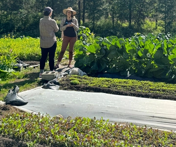Palmer: Historical Farm Walking Tour
