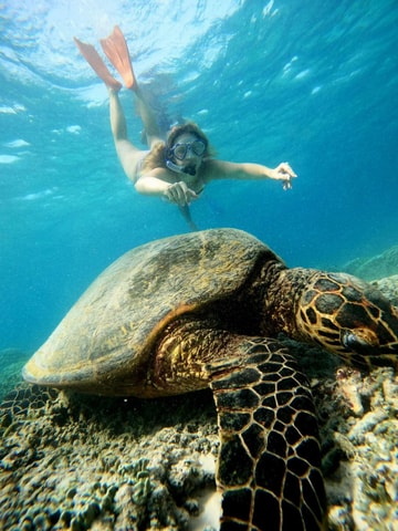 Gili Snorkeling Tour With GO PRO Documentation