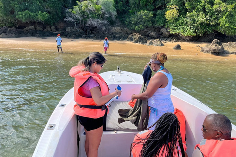 Maputo: Whale Watching, Day Trip