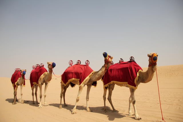 Dubai: Bedouin Camp, Dune Safari, Falcon Show &amp; BBQ Dinner