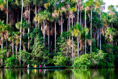 Puerto Maldonado : 4 jours d&#039;aventure dans la jungle amazonienne