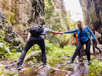 Teno Waterfalls and the Tropical Jungle of Tenerife