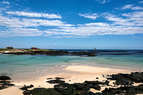 Jeju Island UNESCO Highlights: Wycieczka prywatnym samochodem w języku angielskimTrasa wschodnia - poznaj zabytki UNESCO i przybrzeżne cuda Jeju