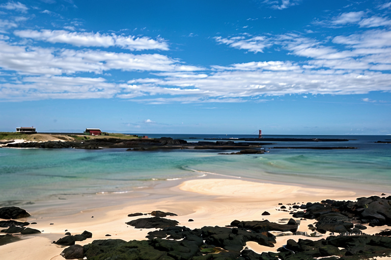 Jeju Island UNESCO Highlights: Wycieczka prywatnym samochodem w języku angielskimTrasa wschodnia - poznaj zabytki UNESCO i przybrzeżne cuda Jeju