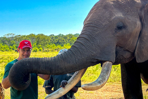 Victoriafallen: Elecrew genom en elefants ögon