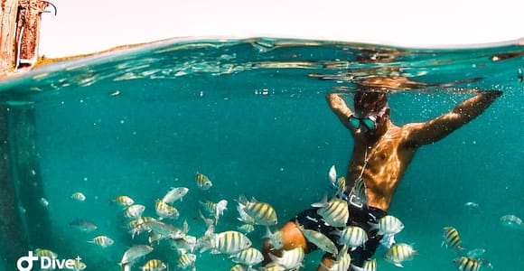 San Juan: Balneario de Escambron Snorkeling Tour