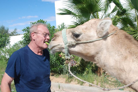 Hammamet: Camel Ride, Lunch, and Quad Biking Tour