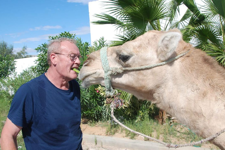 Hammamet: Camel Ride, Lunch, and Quad Biking Tour