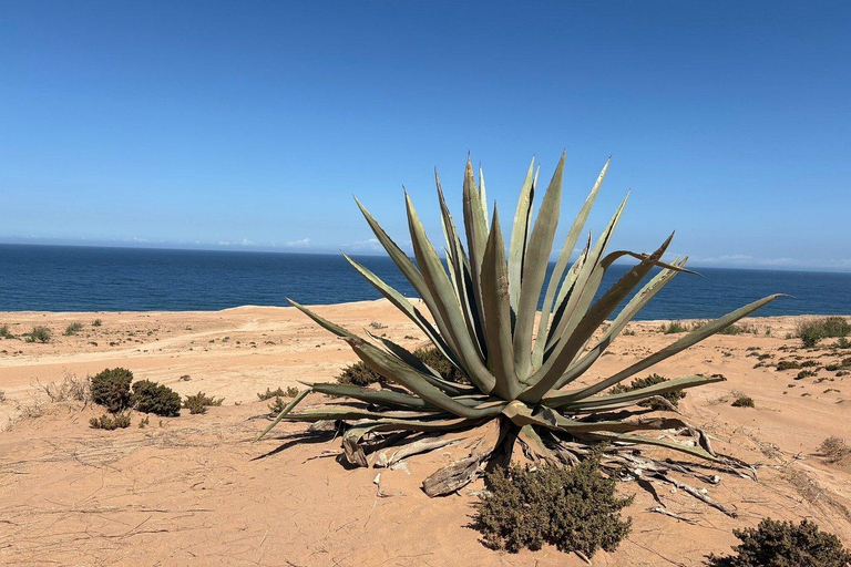 Agadir: Mini Sahara 4x4 Jeep Safari with Berber Lunch PICK UP FROM AGADIR