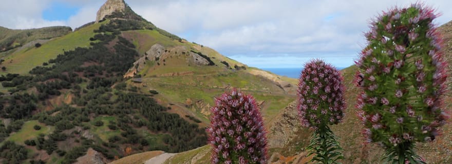 Porto Santo : randonnée à Terra Chã et Pico Branco