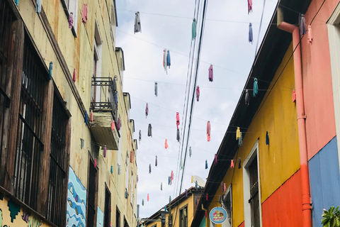 Private Slow Travel: Valparaiso Art, Coastal Boat Ride & Boutique Wine Private Slow Travel: Valparaíso Art, Coastal Boat Ride & Boutique Wine
