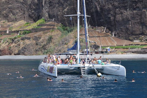 Funchal: Catamaran Dolphin and Whale Watching