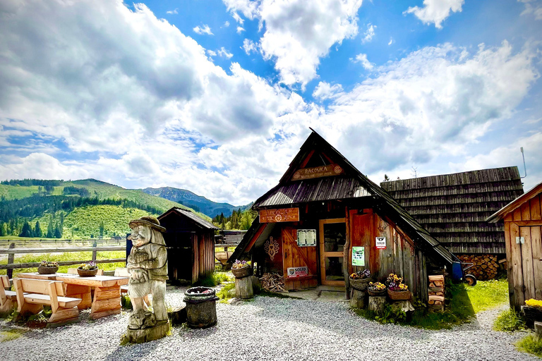 Van Krakau: Zakopane Tour met toegang tot thermale badenZakopane Tour met toegang tot thermale baden — Groepstour