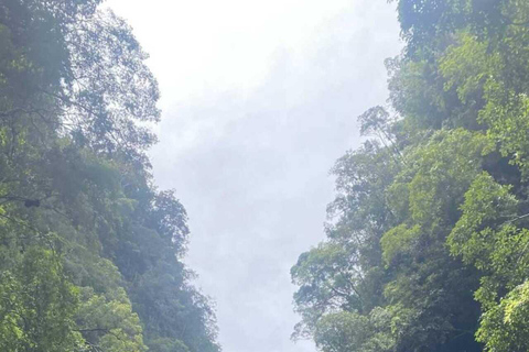 Krabi: Ao Thalane Mangrove Kayaking Tour with Pickup Half Day Kayak - Morning Session