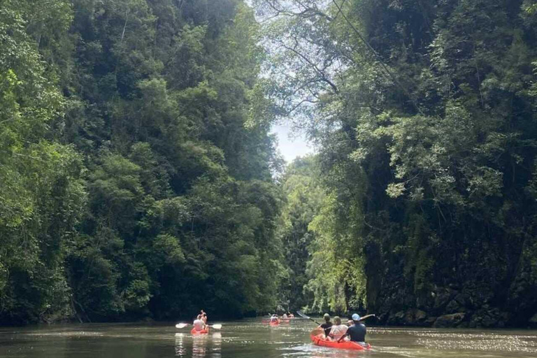 Krabi: Ao Thalane Mangrove Kayaking Tour with Pickup Half Day Kayak - Morning Session