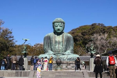 Tokyo: Kamakura & Yokohama Scenic Private Car Experience