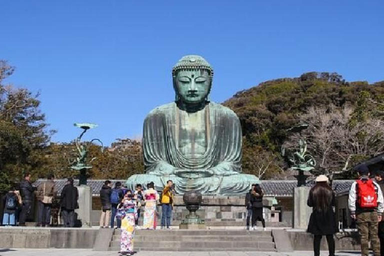 Tokyo: Kamakura & Yokohama Scenic Private Car Experience