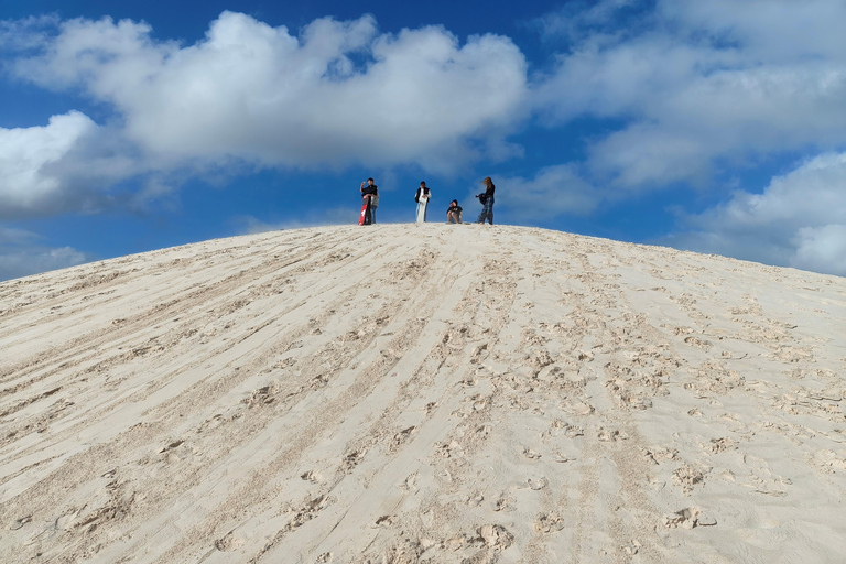 From Perth: Koala, Pinnacles Stargazing Day Tour