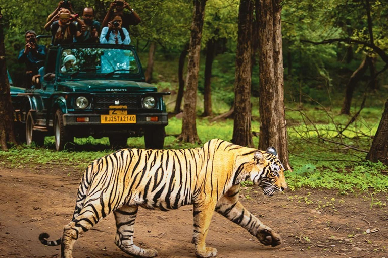 4 Daagse Gouden Driehoek &amp; Ranthambore Safari vanuit DelhiAlleen vervoer &amp; gids