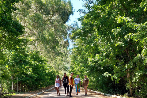 Explore Búzios: Stunning Views on the Emerências Trail