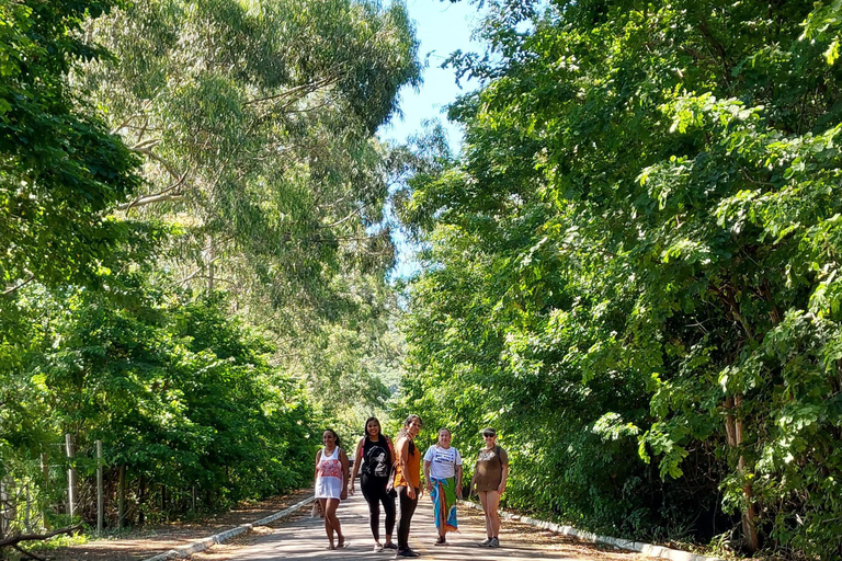 Explore Búzios: Vistas deslumbrantes na Trilha das Emerências