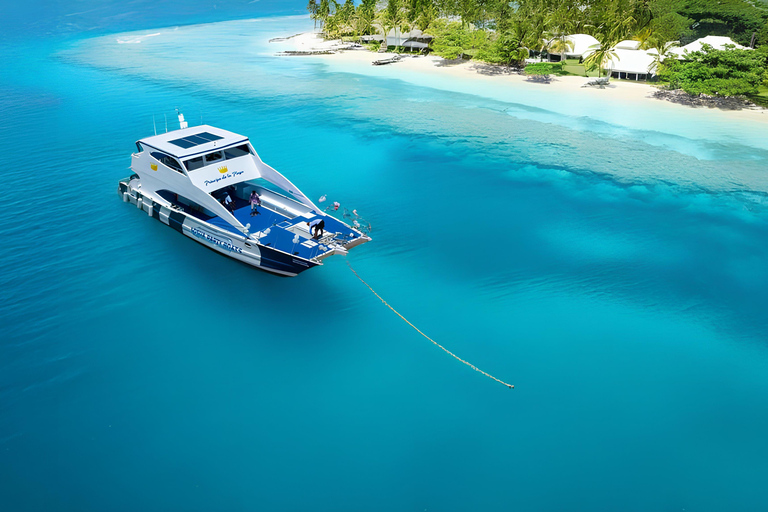 Puerto Plata Private Sunset Catamaran with Open Bar & BBQ