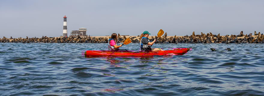 Pelican Point : Kayak avec les phoques