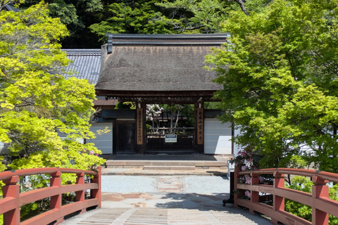 From Osaka: Muroji Temple, Dragon Shrine & Art Forest Tour
