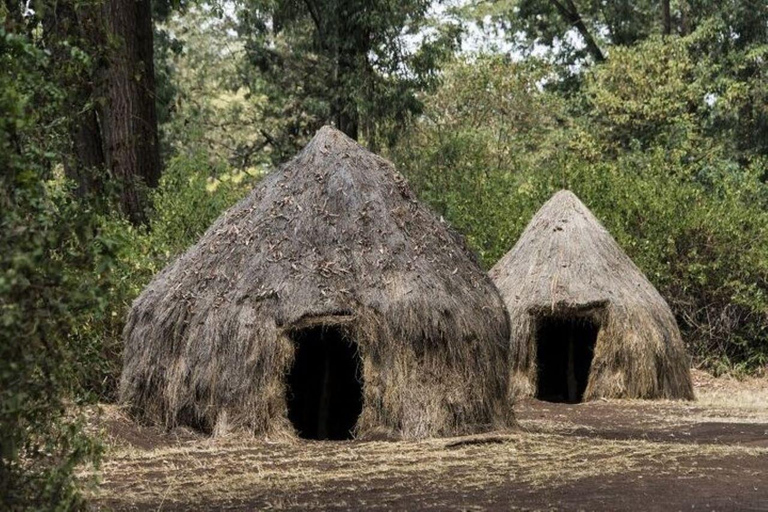 Nairobi: Visita ao Centro Cultural Bomas of Kenya à tarde