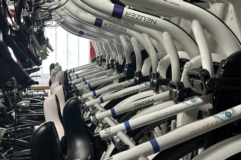Choose a bicycle and make your own tour in Budapest-24 hrs
