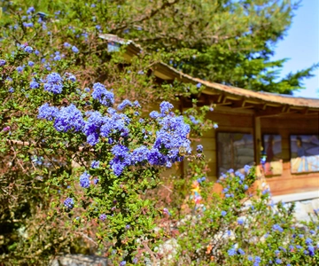 Private Bainbridge Island Discovery Tour