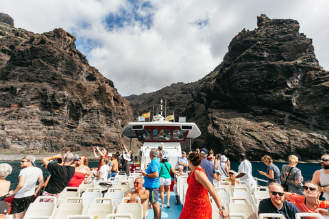 Depuis Adeje : croisière baleines et dauphins avec déjeunerVisite guidée sans prise en charge à l’hôtel