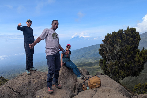 From Moshi: Kilimanjaro Day Trip to Shira with Hike & Picnic