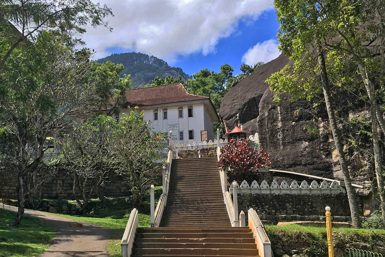 Sigiriya, Dambulla and Habarana Day Trip