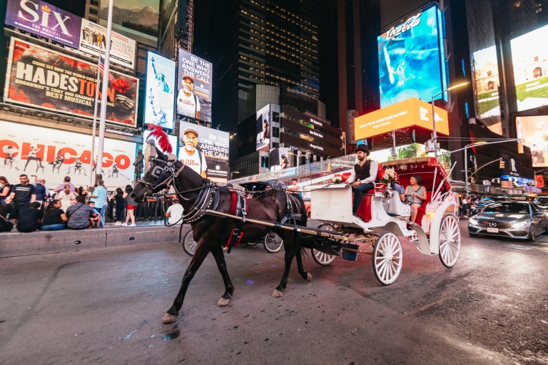 Central Park, Rockefeller & Times Square Horse Carriage Ride