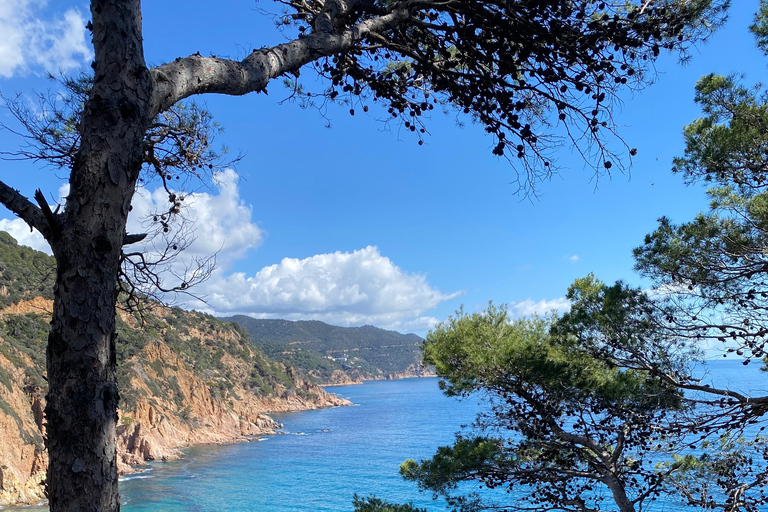 Lloret de Mar: Guided Sightseeing Tour in a 4x4 Vehicle