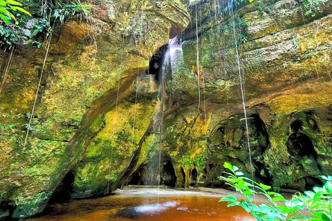 From Manaus: Presidente Figueiredo Jungle and Caves Tour