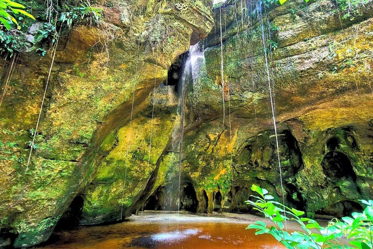From Manaus: Presidente Figueiredo Jungle and Caves Tour