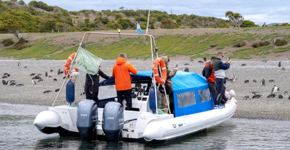 Día completo en Ushuaia y el canal Beagle: un encuentro único con los pingüinos