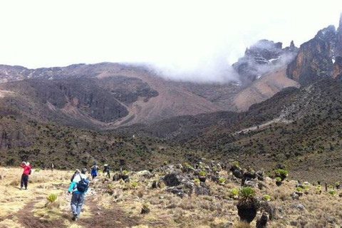 Dagsutflykt till Mount Kenya