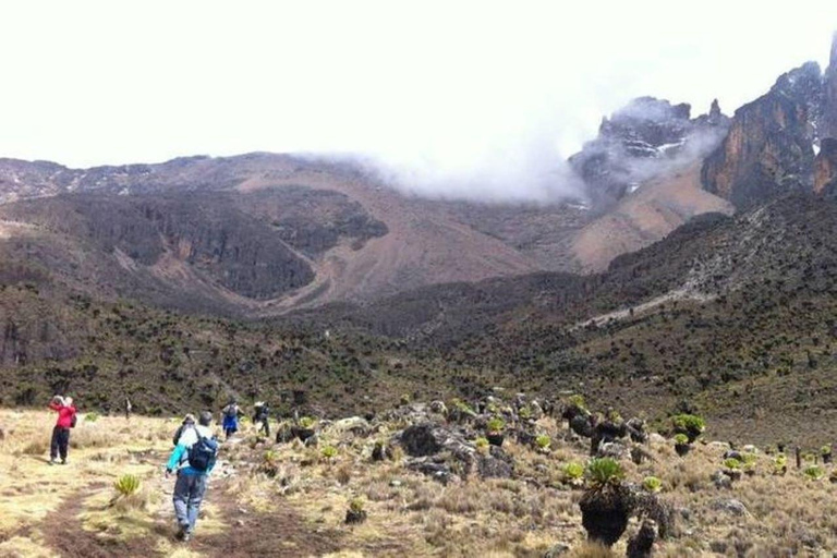 Excursion d&#039;une journée au Mont Kenya