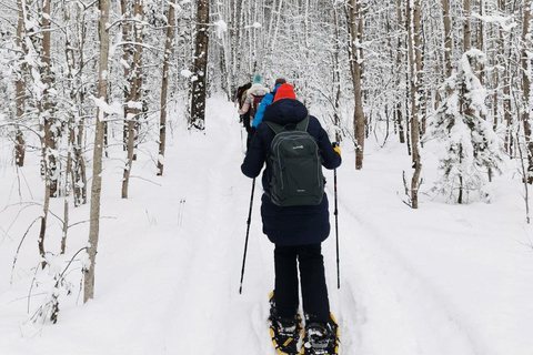 Levi: Snowshoe Survival Experience