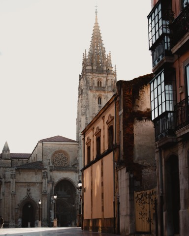 Visit Private tour to Oviedo in Oviedo, Asturias, España