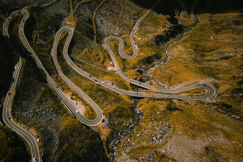 Transfagarasan Drive & Wild Bear Experience from Brasov