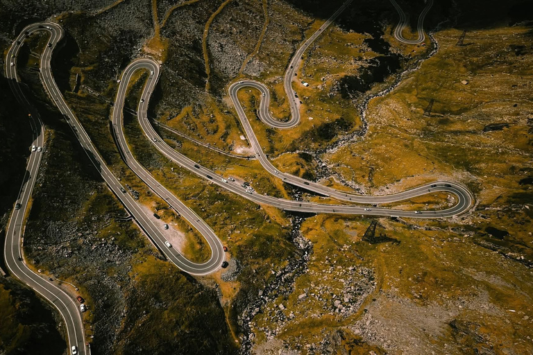 Transfagarasan Drive & Wild Bear Experience from Brasov