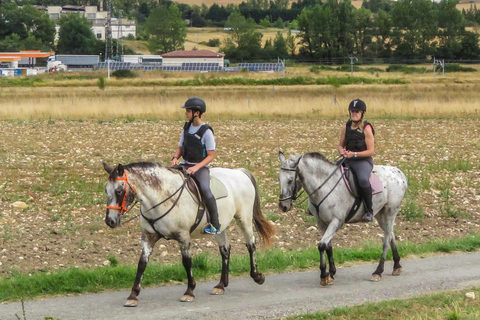 Tbilisi: Horseback Riding Across open meadows. Private Horseback riding experience 2 hours !