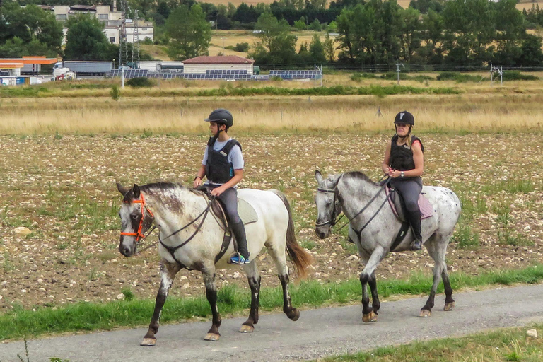 Tbilisi: Horseback Riding Across open meadows. Private