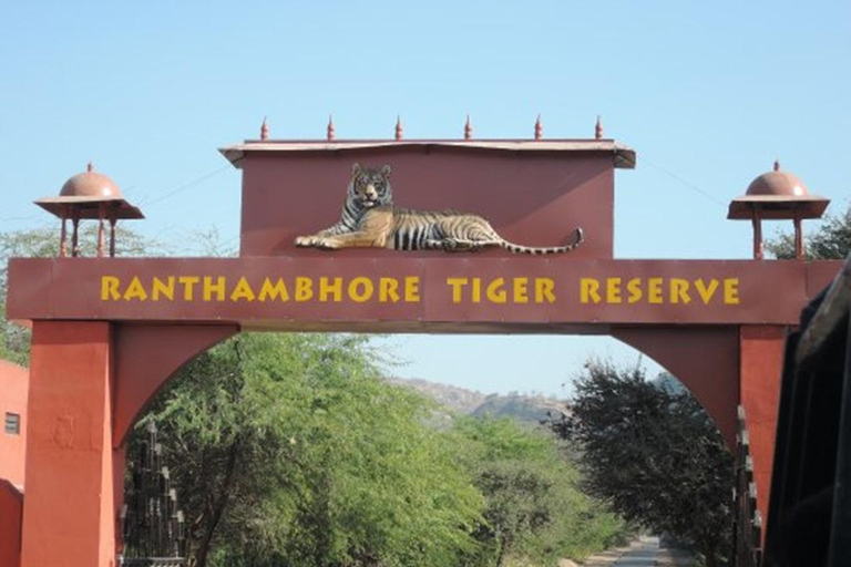 From Jaipur: Same Day Ranthambore Tiger Safari Adventure